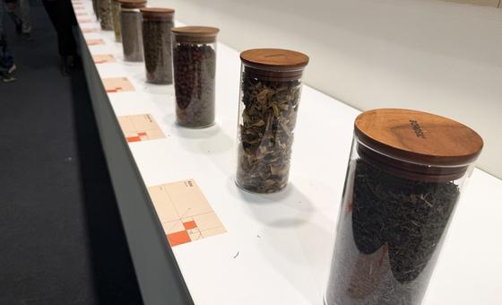 Лекарственные травы используются во многих системах традиционной медицины.